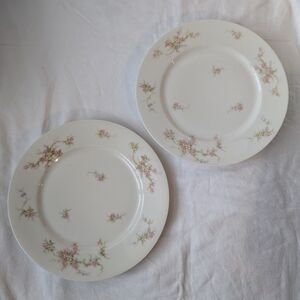 Theodore Haviland Limoges France Pink Floral Porcelain Dinner Plates - 2